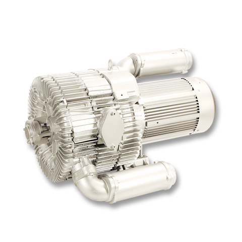 ring blower